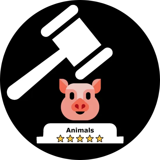  🐷Животные (16)